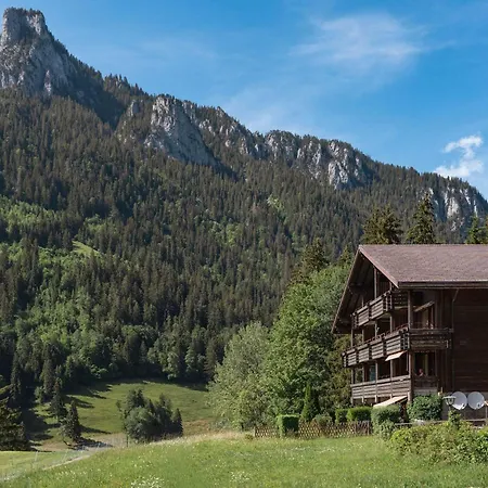 Cozy Alpine In Wiriehorn With Parking Apartment Diemtigen