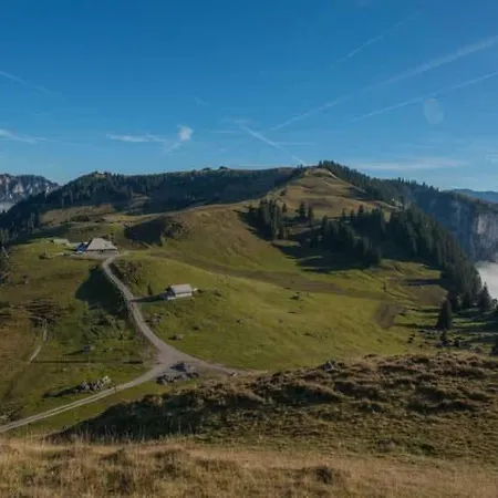 Cozy Alpine In Wiriehorn With Parking