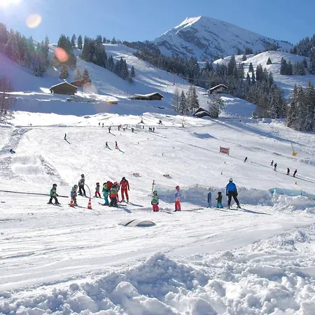 Cozy Alpine In Wiriehorn With Parking Apartment *